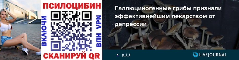 Галлюциногенные грибы GOLDEN TEACHER Динская